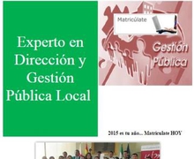 EXPERTO EN DIRECCIÓN Y GESTIÓN PÚBLICA LOCAL