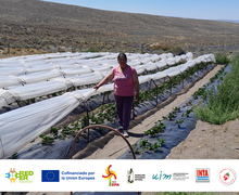 Abierta convocatoria para consultoría en la formulación de agenda energética para Chubut - Argentina