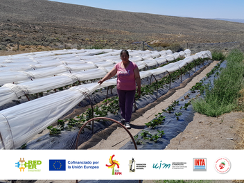 Abierta convocatoria para consultoría en la formulación de agenda energética para Chubut - Argentina